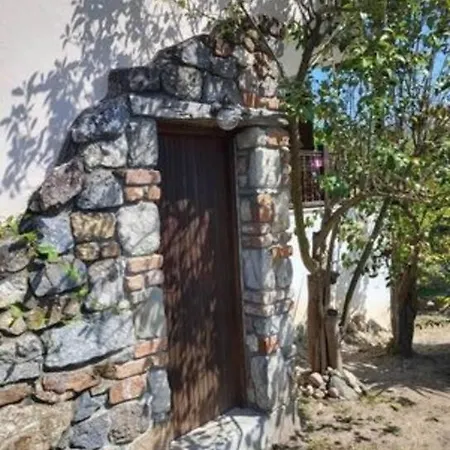 θυμάρι Studio έως 2 άτομα Apartment *