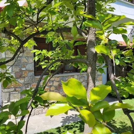 θυμάρι Studio έως 2 άτομα Apartment *