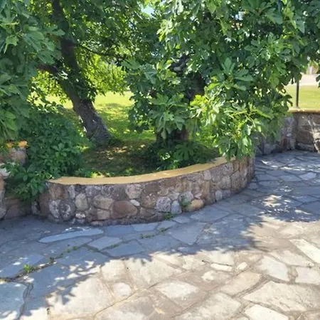 θυμάρι Studio έως 2 άτομα Apartment Paliouri